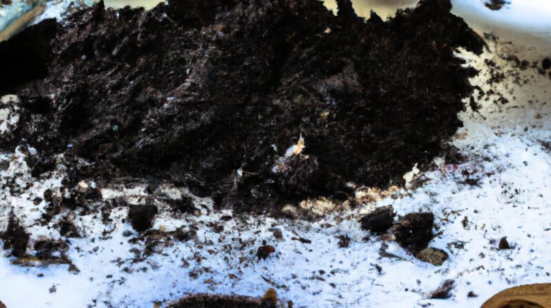 Experience the Best of Eau Claire’s Coffee Scene with Coffee Grounds